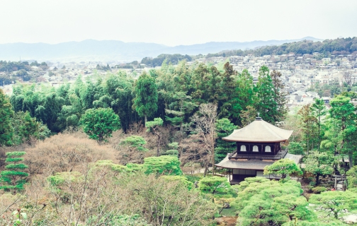 a-view-over-kyoto