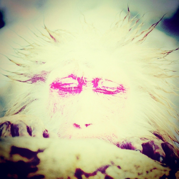 monkey-instagram